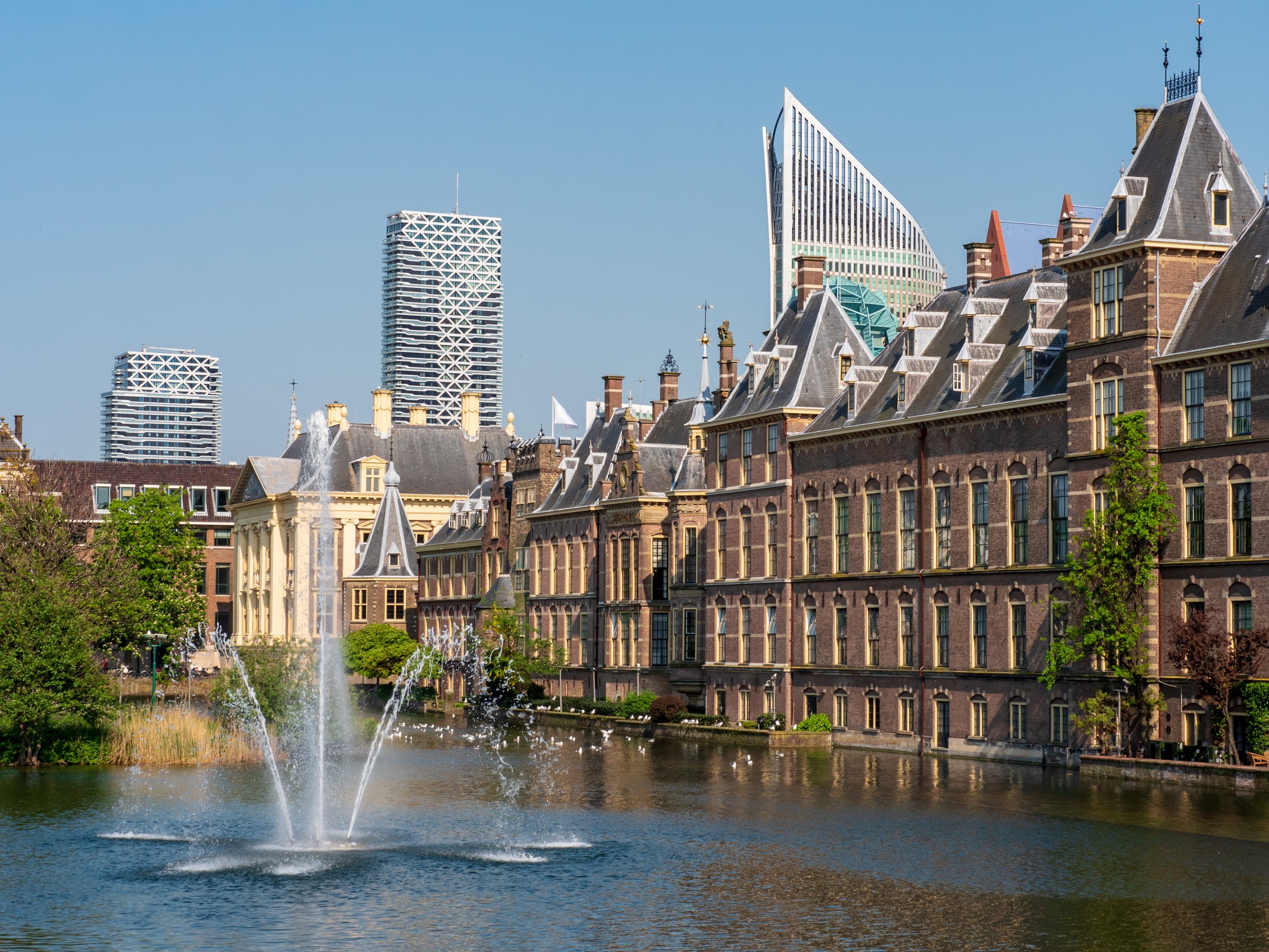 Picture of Den Haag