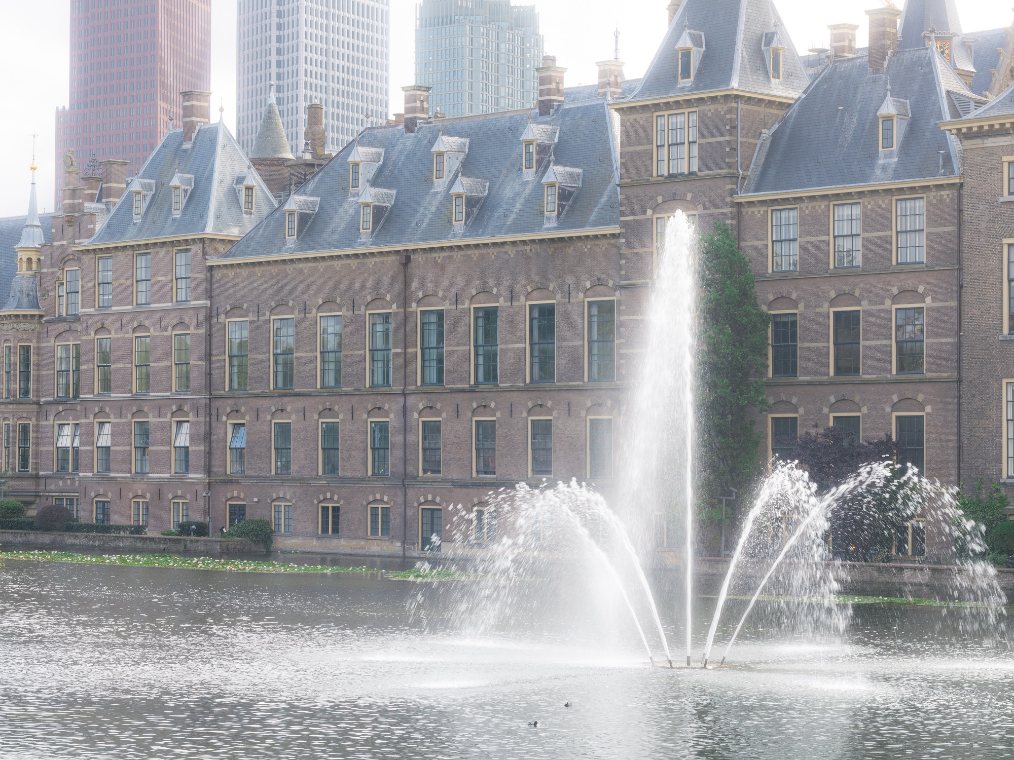 Picture of den haag
